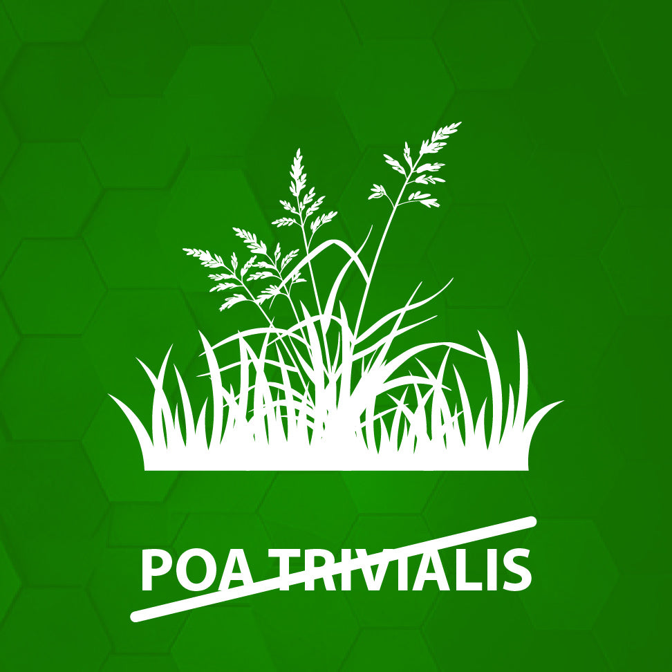 Schwer zu bekämpfende Unkräuter